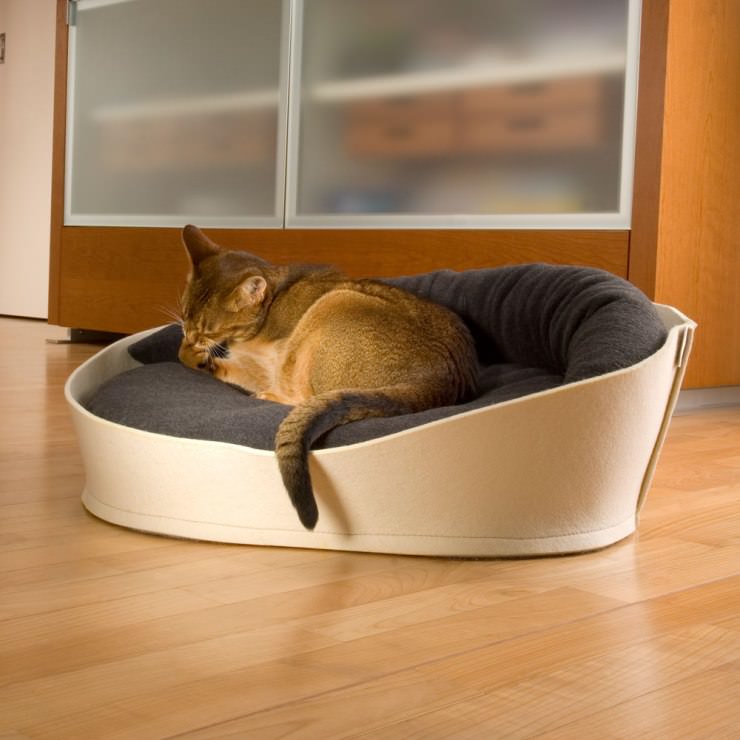 LUXURY PET ACCESSORIES