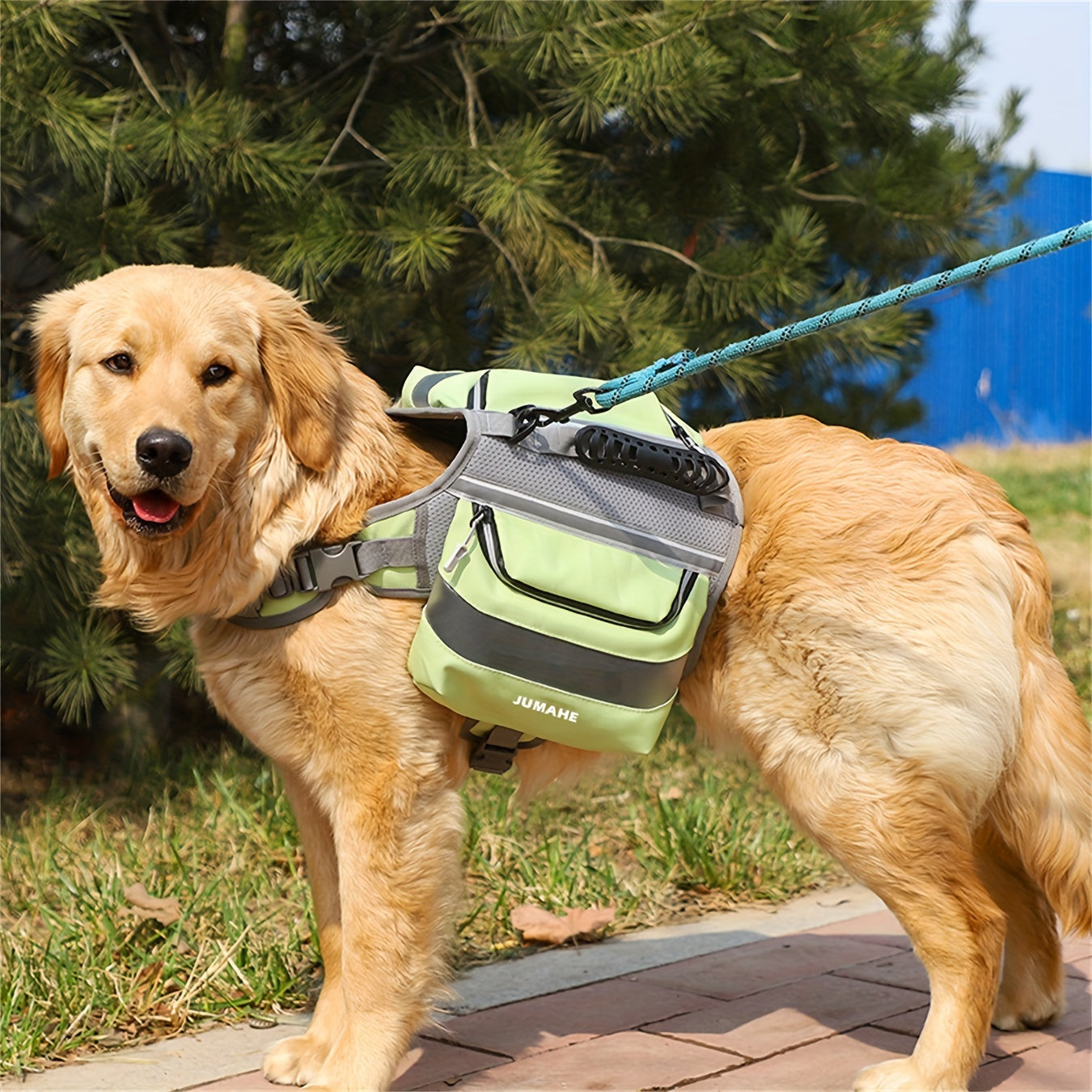 PET TRAVEL & OUTDOOR GEAR
