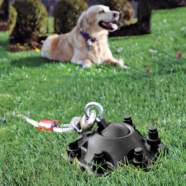 SMART PET GADGETS